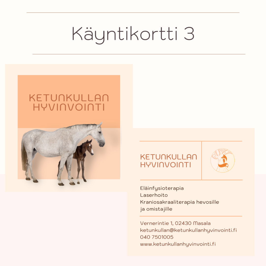 Ketunkullan elementit(12)