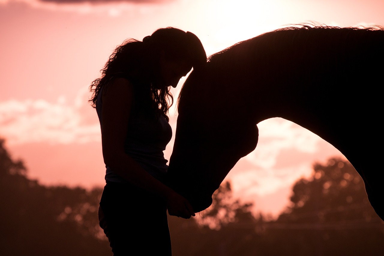 horse, woman, animal-3601046.jpg