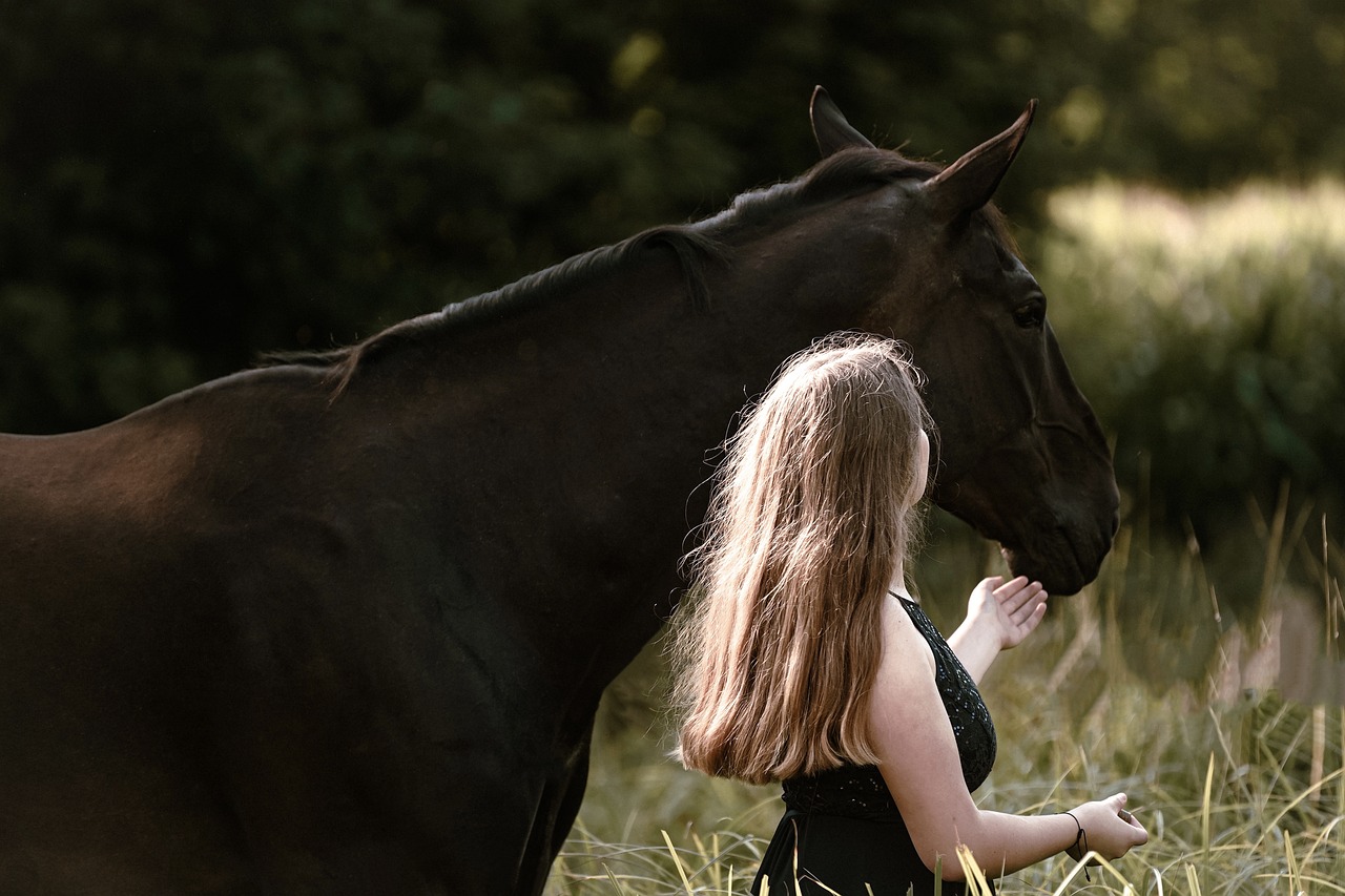 woman, rider, horse-6531841.jpg